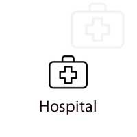 Hospitals in Hisar