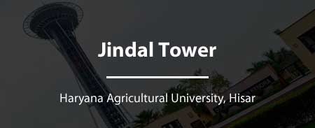 Jindal Tower Hisar Classifieds